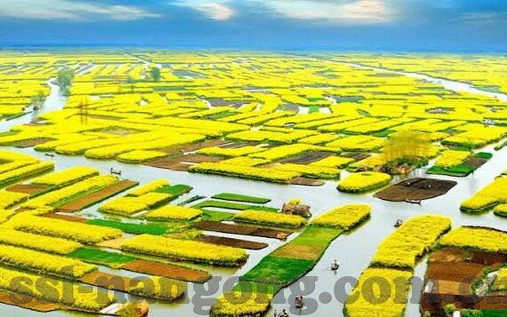 足球结果比分概率-深度解析,足球结果比分概率背后的科学密码与实战应用